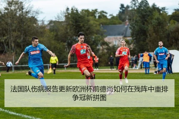 法国队伤病报告更新欧洲杯前德尚如何在残阵中重排争冠新拼图